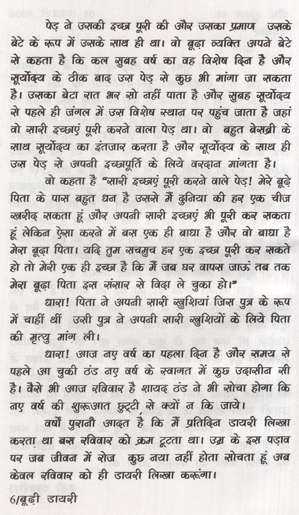 बूढ़ी डायरी: Budhi Diary (Novel) - Retail Maharaj