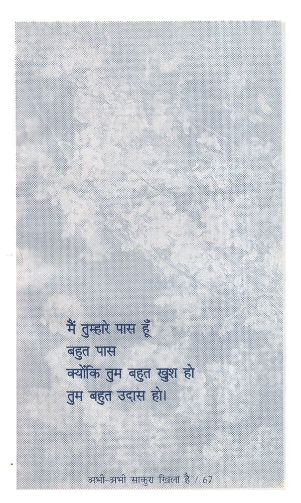 अभी-अभी साकुरा खिला है: Abhi- Abhi Sakura Khila Hain - Retail Maharaj