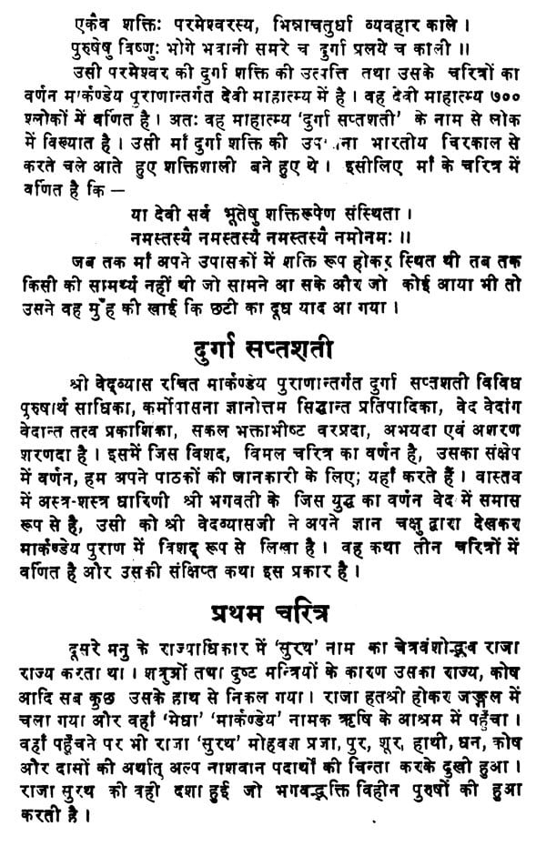 दुर्गा तन्त्र शास्त्र (सर्वाङ्गा दुर्गार्चन सृतिः)- Durga Tantra Shastra (Sarvanga Durgarchana Sriti) - Retail Maharaj