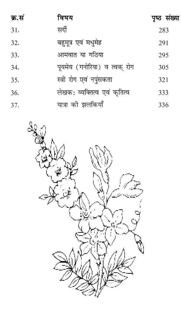 मेरी आयुर्वेद यात्रा- My Ayurveda Journey - Retail Maharaj