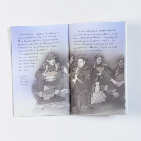 Animals at War (Young Reading Level 3) - Retail Maharaj