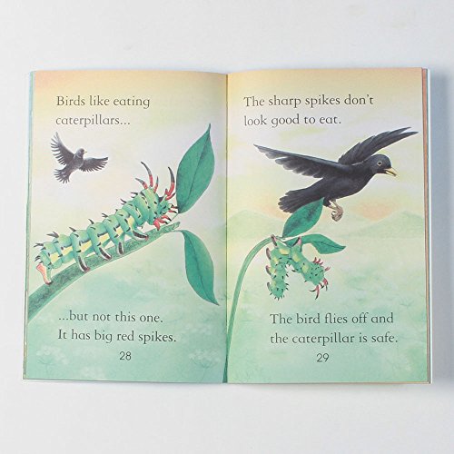 BUGS - Retail Maharaj