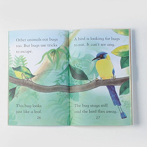 BUGS - Retail Maharaj