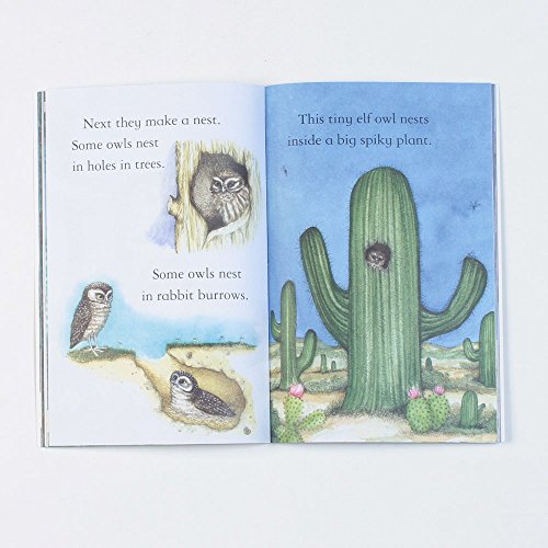 OWLS - Retail Maharaj