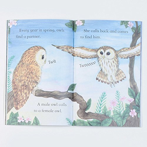 OWLS - Retail Maharaj