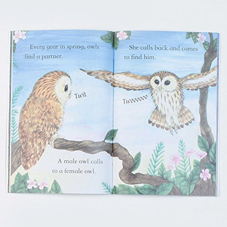 OWLS - Retail Maharaj