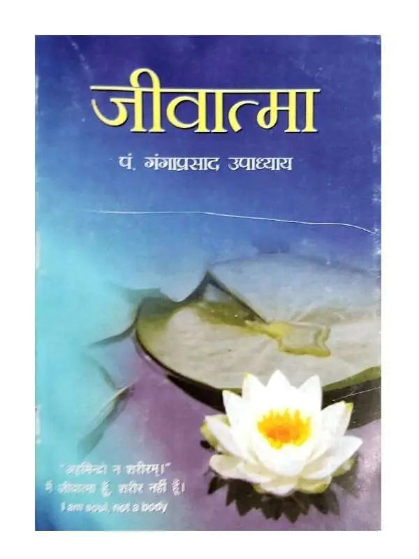 जीवात्मा Jivatma - Retail Maharaj
