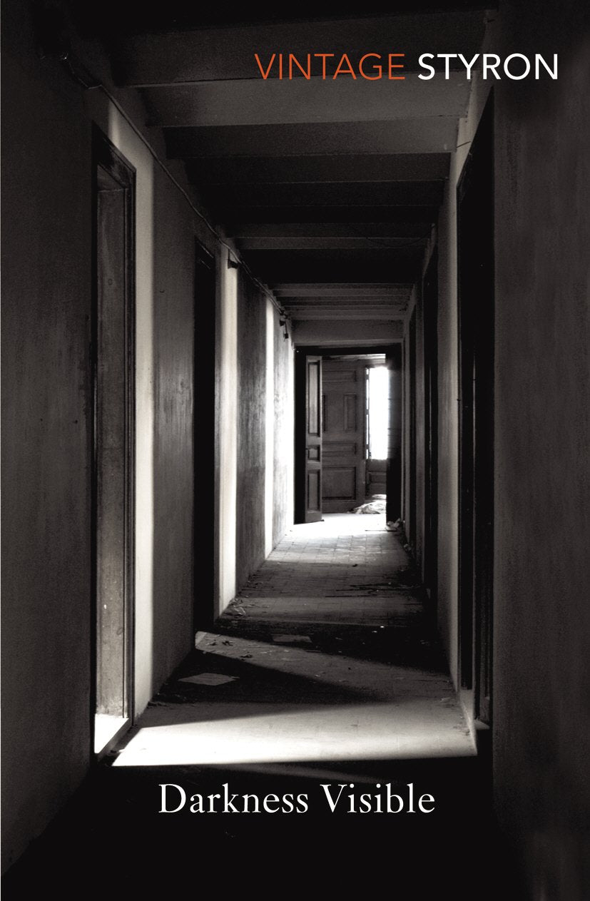 Darkness Visible - Retail Maharaj