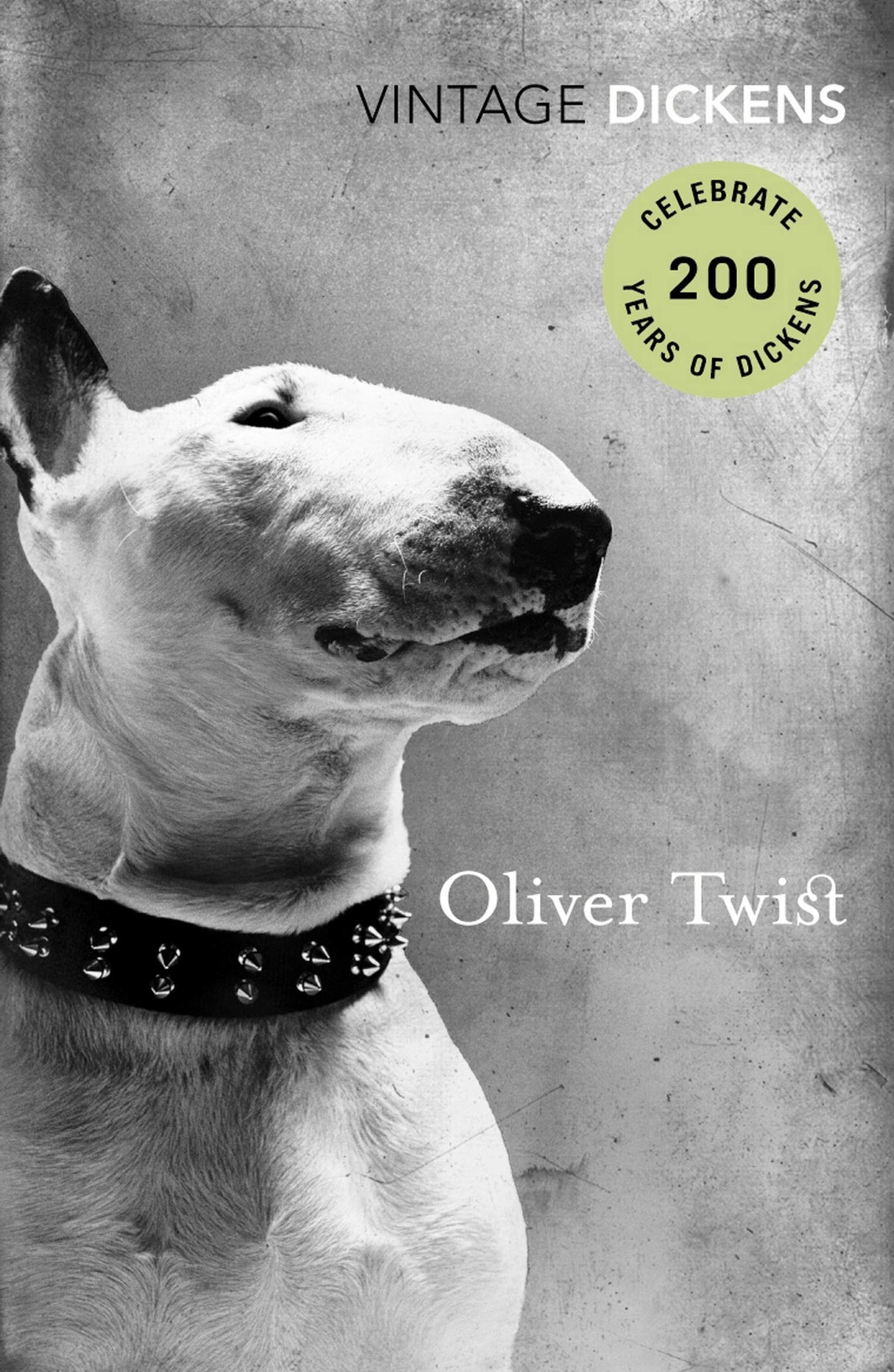 Oliver Twist (Vintage Classics) - Retail Maharaj