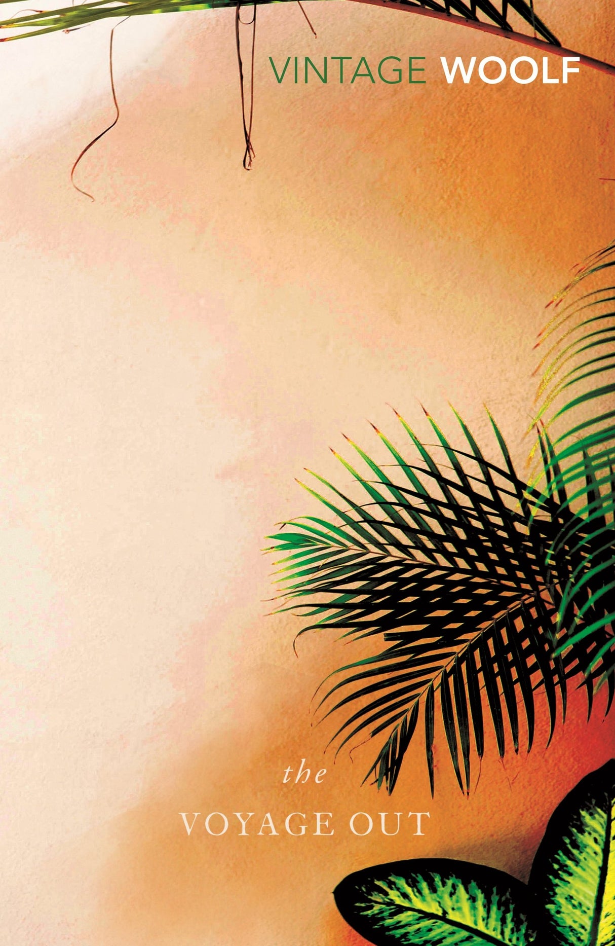 The Voyage Out - Retail Maharaj