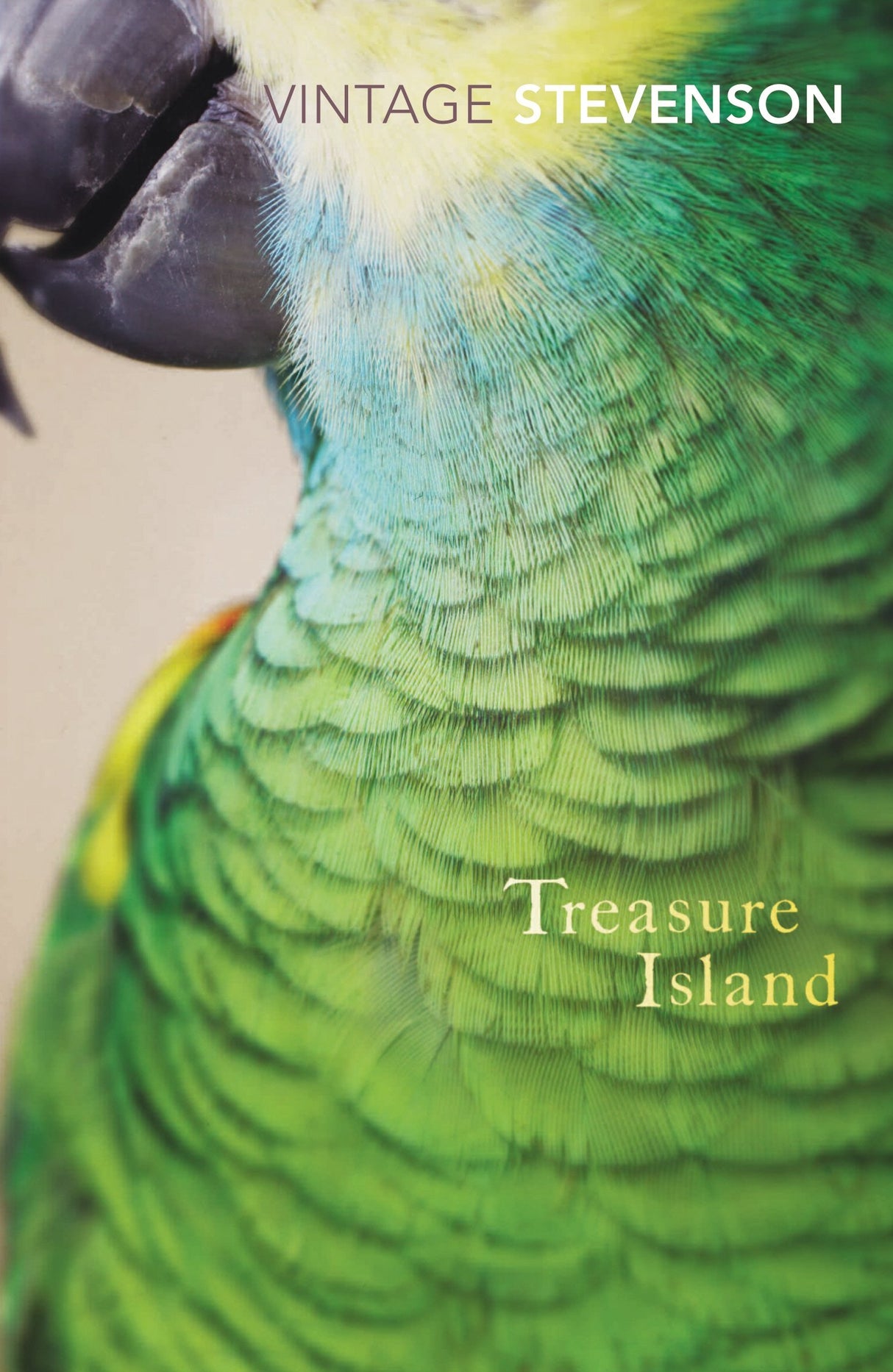 Treasure Island (Vintage Classics) - Retail Maharaj