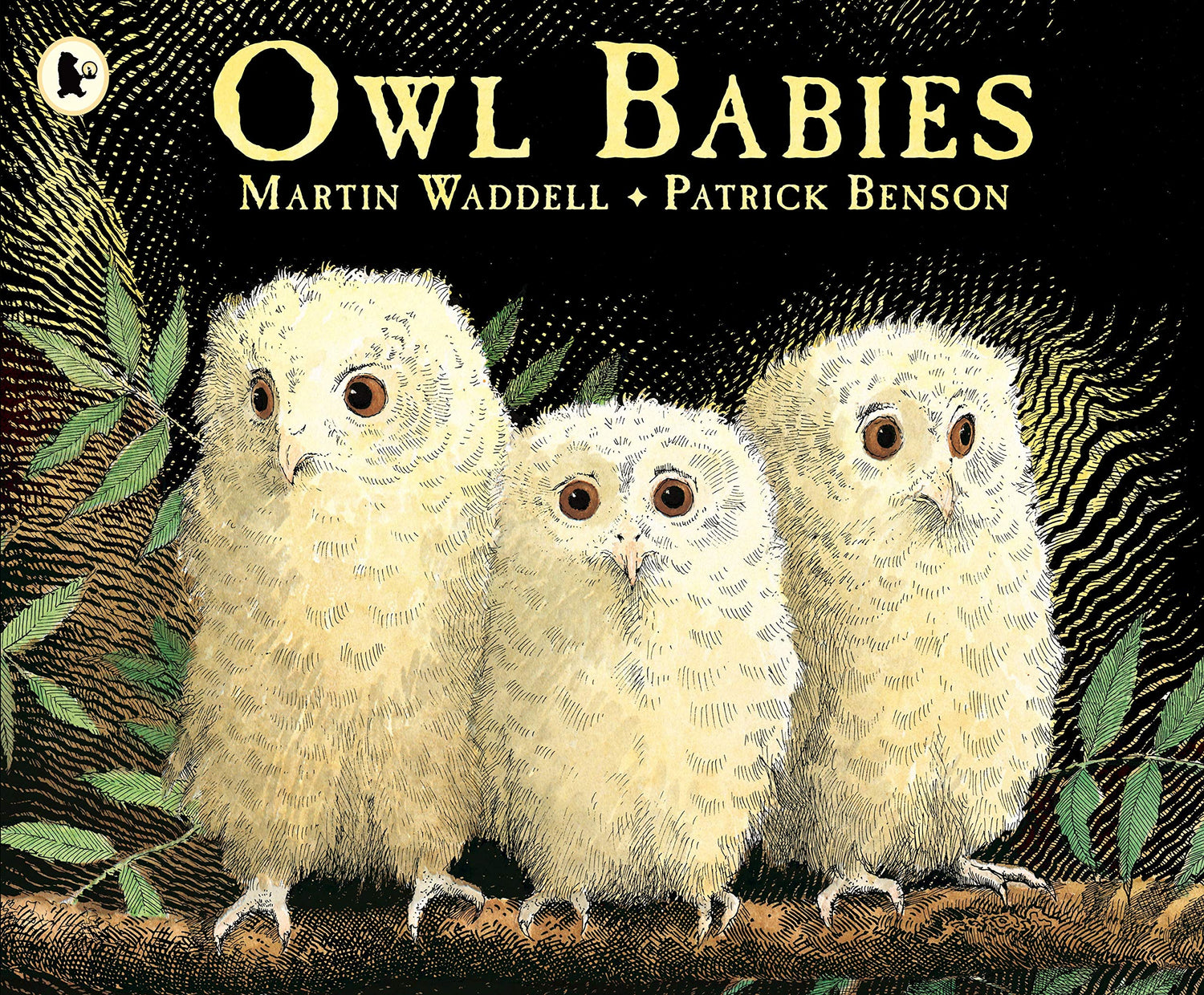 Owl Babies - Retail Maharaj