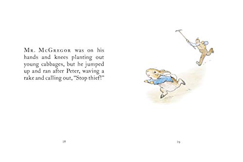 Tale Of Peter Rabbit - Retail Maharaj