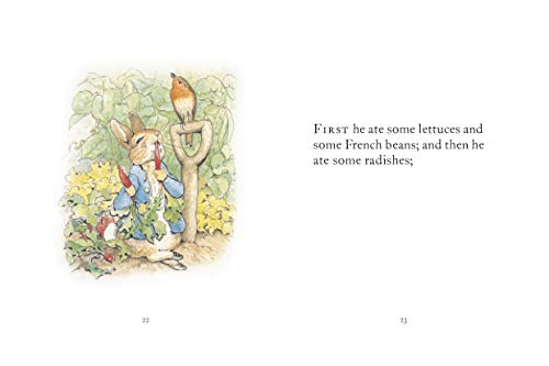 Tale Of Peter Rabbit - Retail Maharaj