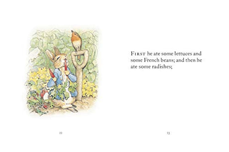 Tale Of Peter Rabbit - Retail Maharaj