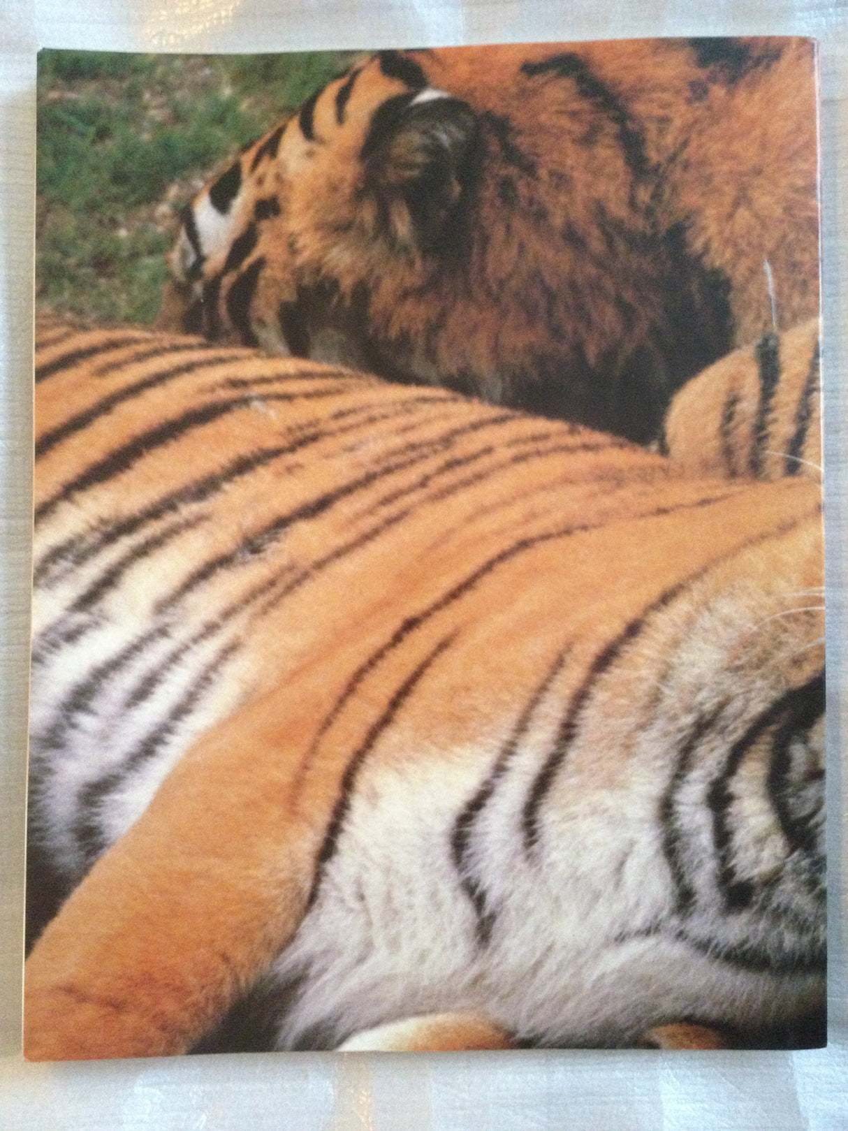 Biology of Populations (Chapters 46-55) (Pt. 3) - Retail Maharaj