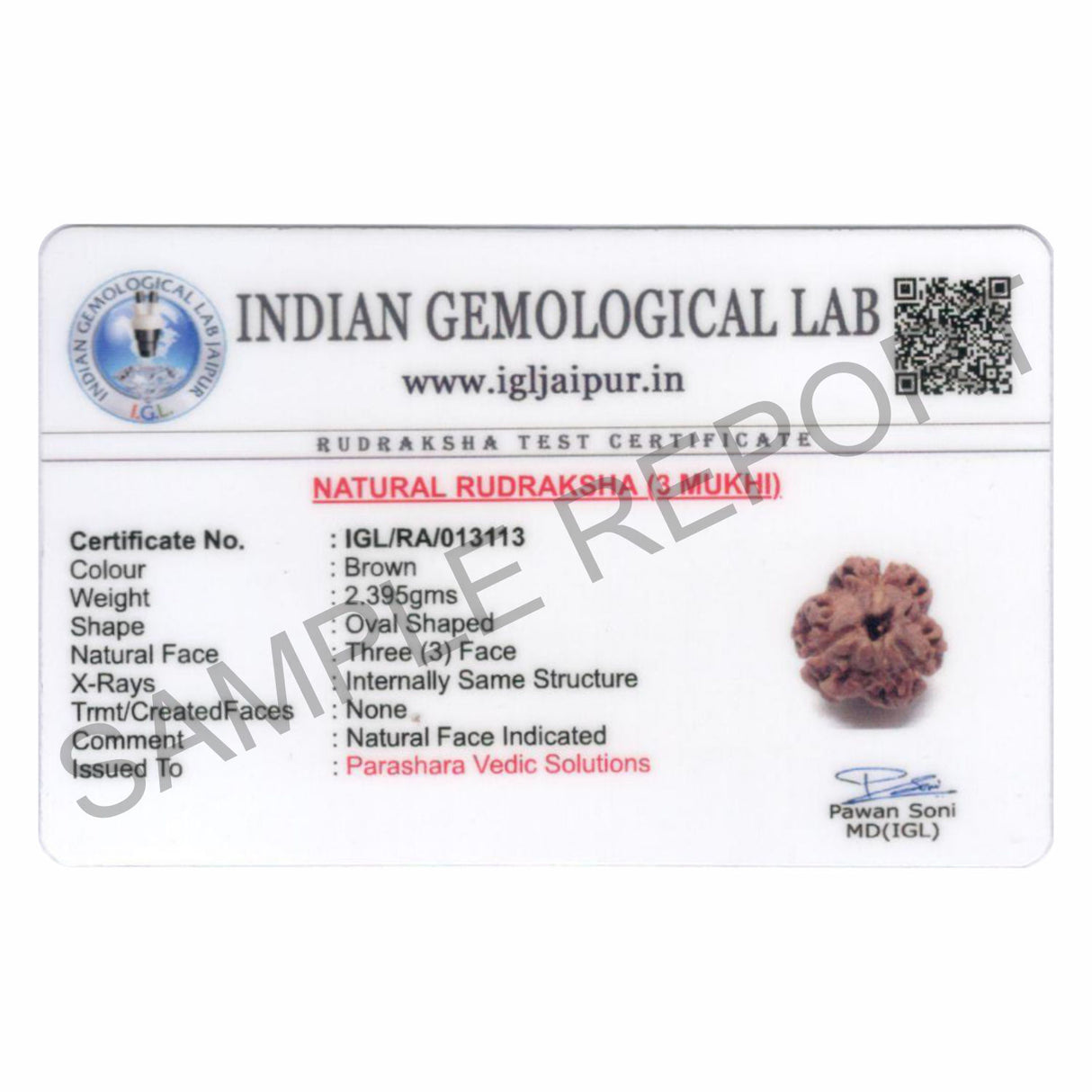 ARKAM Three Mukhi Rudraksha Certified/ Original Nepali 3 Mukhi Rudraksh/ Natural 3 faced Rudraksha (Brown) with Certificate and Puja Instructions - Retail Maharaj