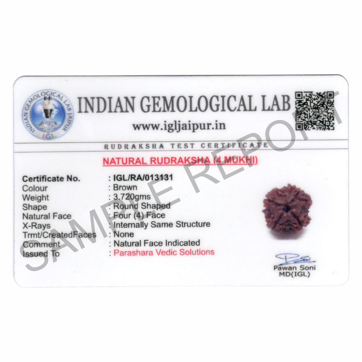 ARKAM Four Mukhi Rudraksha Certified/ Original Nepali 4 Mukhi Rudraksh/ Natural 4 faced Rudraksha (Brown) with Certificate and Puja Instructions - Retail Maharaj