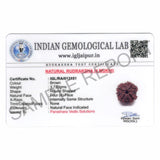 ARKAM Four Mukhi Rudraksha Certified/ Original Nepali 4 Mukhi Rudraksh/ Natural 4 faced Rudraksha (Brown) with Certificate and Puja Instructions - Retail Maharaj