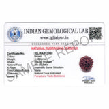 ARKAM Six Mukhi Rudraksha Certified/ Original Nepali 6 Mukhi Rudraksh/ Natural 6 faced Rudraksha (Brown) with Certificate and Puja Instructions - Retail Maharaj