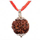 ARKAM Four Mukhi Rudraksha Certified/ Original Nepali 4 Mukhi Rudraksh/ Natural 4 faced Rudraksha with Silver Pendant (Brown) with Certificate and Puja Instructions - Retail Maharaj