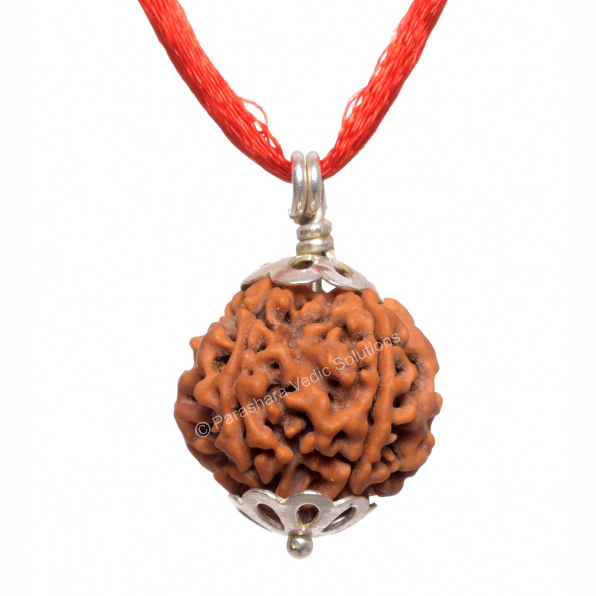 ARKAM Five Mukhi Rudraksha Certified/ Original Nepali 5 Mukhi Rudraksh/ Natural 5 faced Rudraksha with Silver Pendant (Brown) with Certificate and Puja Instructions - Retail Maharaj