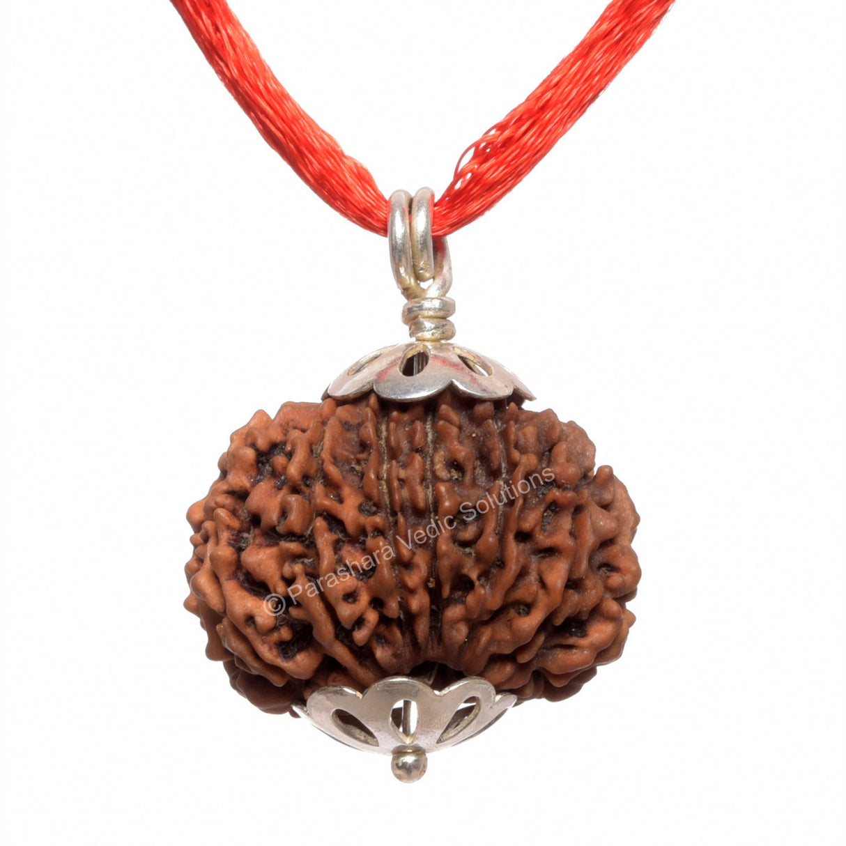 ARKAM Fourteen Mukhi Rudraksha Certified/ Original Nepali 14 Mukhi Rudraksh/ Natural 14 faced Rudraksha with Silver Pendant (Brown) with Certificate and Puja Instructions - Retail Maharaj