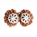 ARKAM Gauri Shankar Rudraksha Certified/ Original Nepali Gauri Shankar Rudraksh/ Natural Gauri Shankar Rudraksha with Silver Pendant (Brown) with Certificate and Puja Instructions - Retail Maharaj