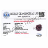 ARKAM Three Mukhi Rudraksha Certified/ Original Nepali 3 Mukhi Rudraksh/ Natural 3 faced Rudraksha with Silver Pendant (Brown) with Certificate and Puja Instructions - Retail Maharaj