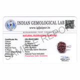 ARKAM Five Mukhi Rudraksha Certified/ Original Nepali 5 Mukhi Rudraksh/ Natural 5 faced Rudraksha with Silver Pendant (Brown) with Certificate and Puja Instructions - Retail Maharaj