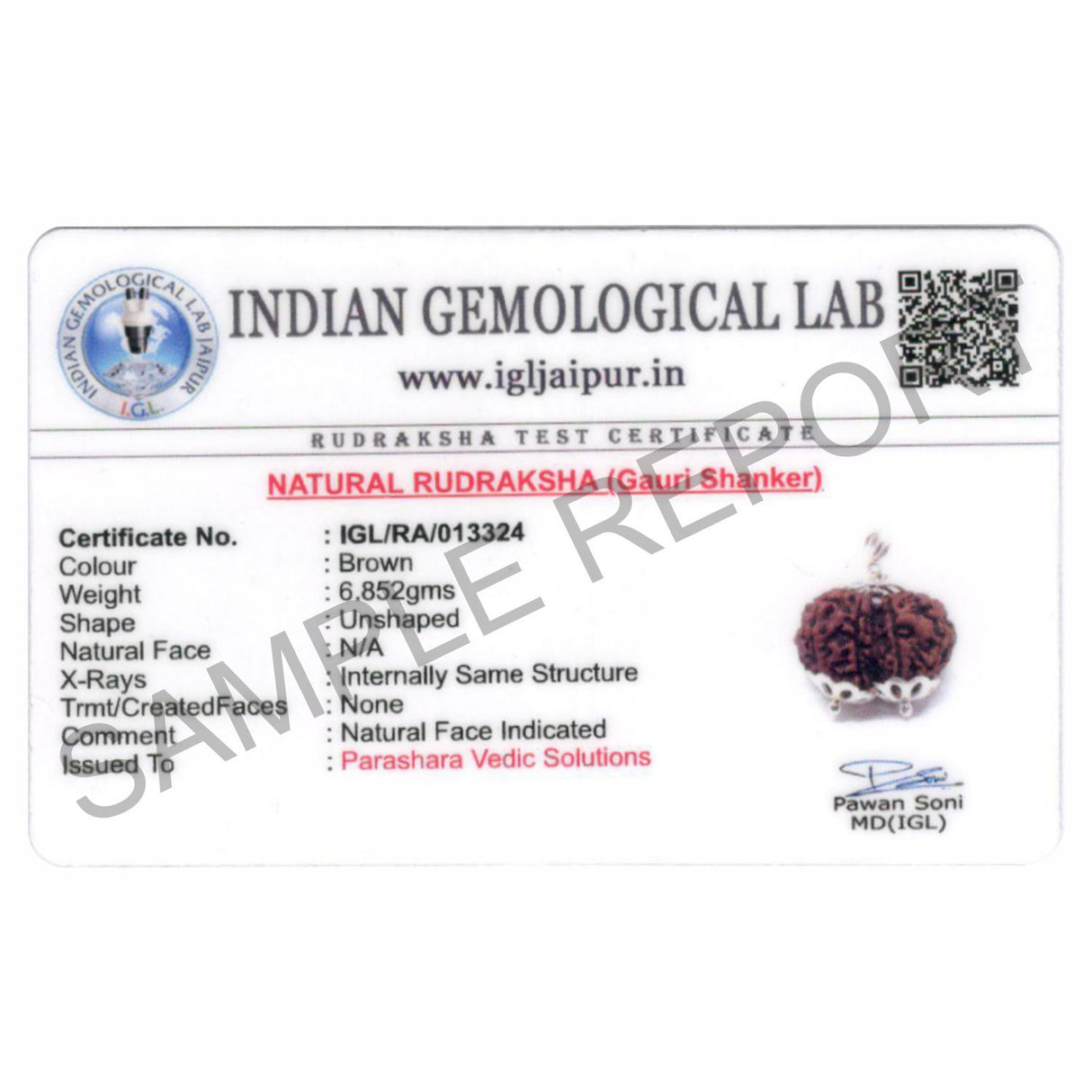 ARKAM Gauri Shankar Rudraksha Certified/ Original Nepali Gauri Shankar Rudraksh/ Natural Gauri Shankar Rudraksha with Silver Pendant (Brown) with Certificate and Puja Instructions - Retail Maharaj