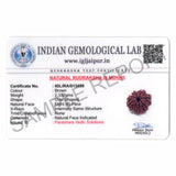 ARKAM Eight Mukhi Rudraksha Certified/ Original Nepali 8 Mukhi Rudraksh/ Natural 8 faced Rudraksha (Brown) with Certificate and Puja Instructions - Retail Maharaj