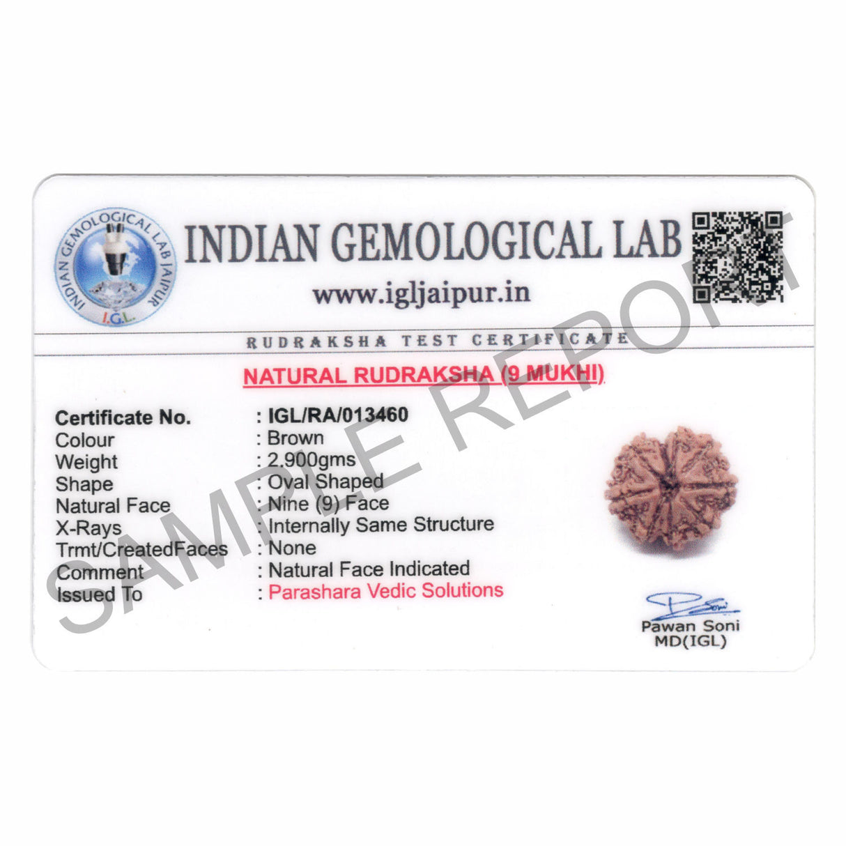 ARKAM Nine Mukhi Rudraksha Certified/ Original Nepali 9 Mukhi Rudraksh/ Natural 9 faced Rudraksha (Brown) with Certificate and Puja Instructions - Retail Maharaj