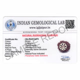 ARKAM Thirteen Mukhi Rudraksha Certified/ Original Nepali 13 Mukhi Rudraksh/ Natural 13 faced Rudraksha with Silver Pendant (Brown) with Certificate and Puja Instructions - Retail Maharaj