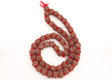 Arkam 5 mukhi Rudraksh Kantha/ Rudraksha Kantha for wearing and worship/ Rudraksh Mala Big/ Five faced Rudraksh Kantha Mala with Padding (Size: 18-22mm, Length: 35inches, Beads: 54+1) - Retail Maharaj