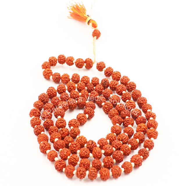 Arkam Rudraksha Mala/ Natural Rudraksh Mala/ Original Rudraksha mala/ Small Rudraksham Mala/ 4mm Rudraksha Rosary (Size: 4mm, Beads: 108+1) - Retail Maharaj
