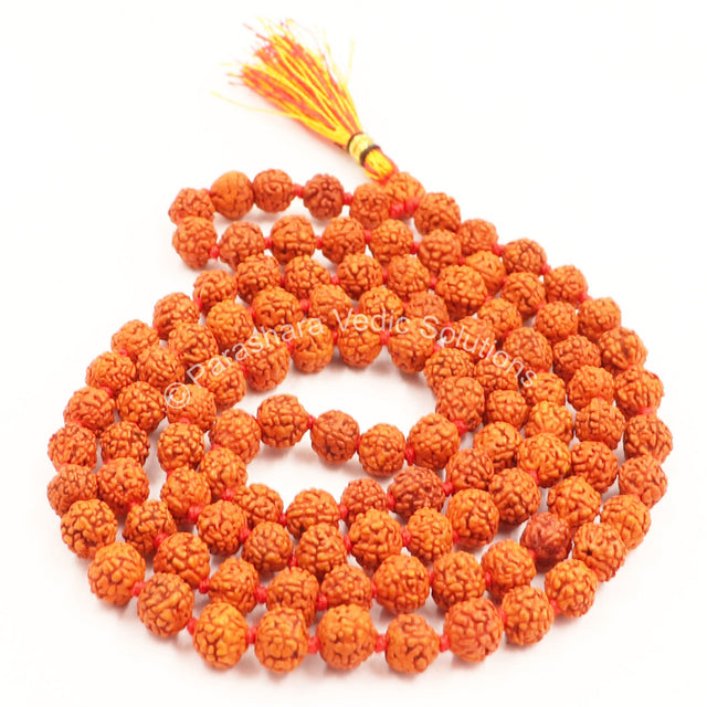 Arkam Rudraksha Mala/ Natural Rudraksh Mala/ Original Rudraksha mala/ Small Rudraksham Mala/ 5mm Rudraksha Rosary (Size: 5mm, Beads: 108+1) - Retail Maharaj