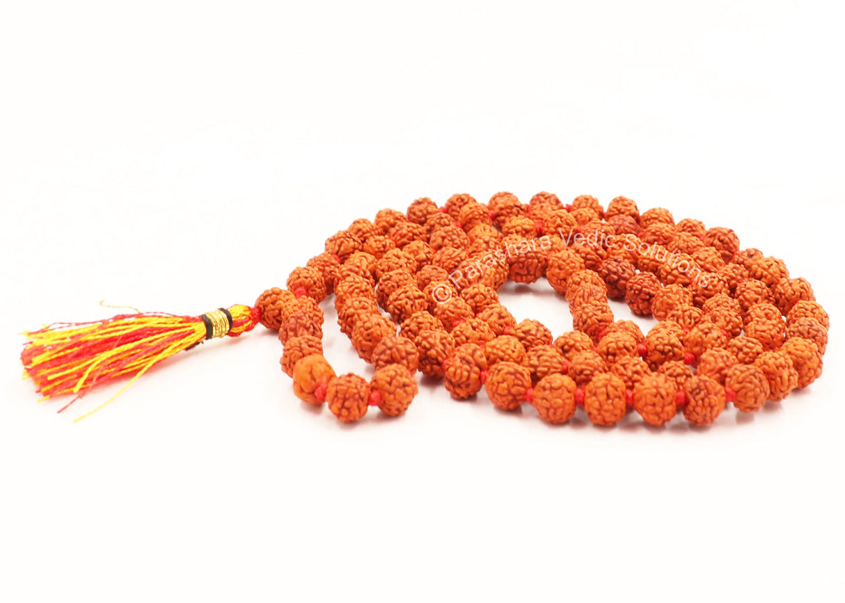 Arkam Rudraksha Mala/ Natural Rudraksh Mala/ Original Rudraksha mala/ Small Rudraksham Mala/ 5mm Rudraksha Rosary (Size: 5mm, Beads: 108+1) - Retail Maharaj