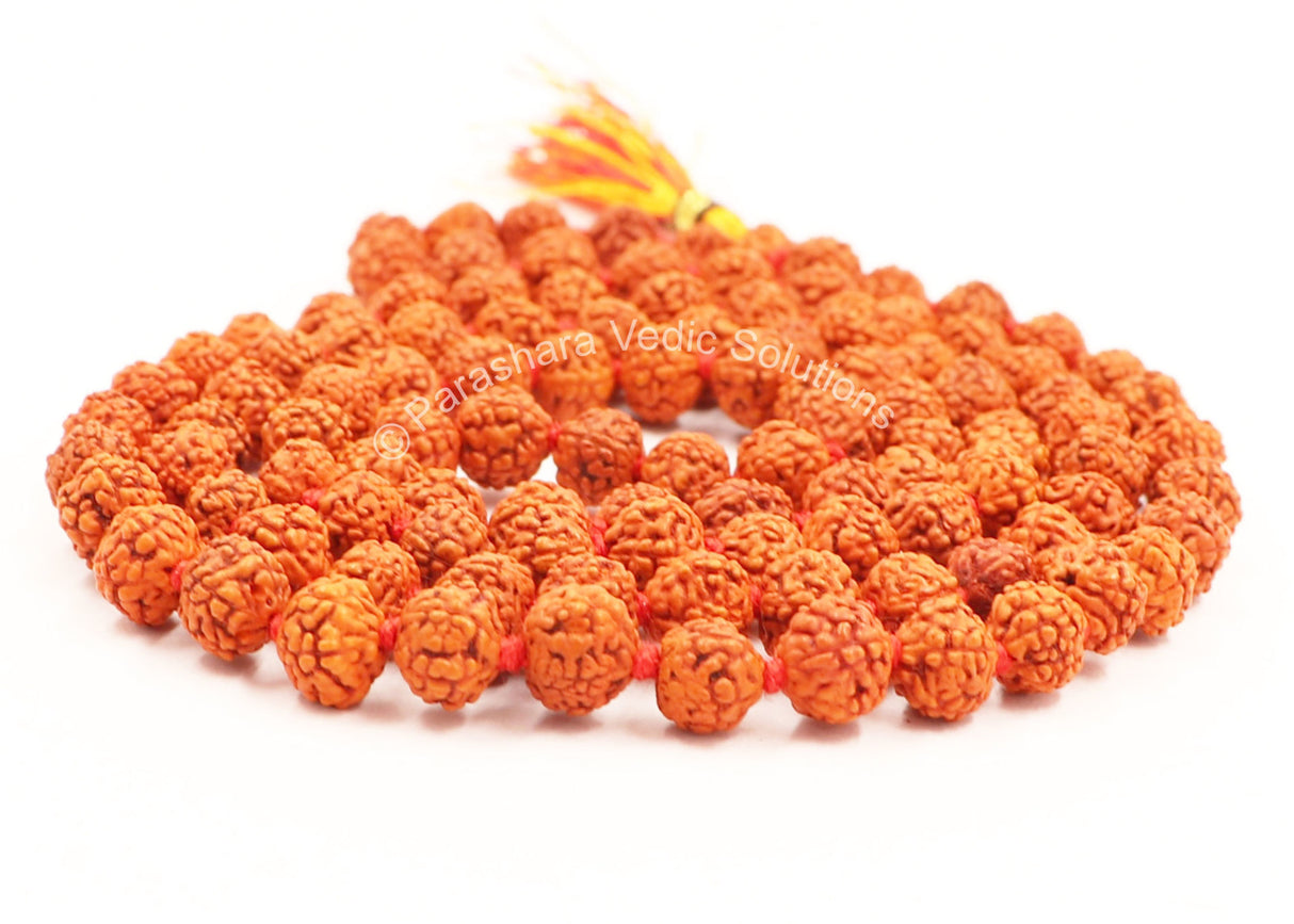 Arkam Rudraksha Mala/ Natural Rudraksh Mala/ Original Rudraksha mala/ Small Rudraksham Mala/ 5mm Rudraksha Rosary (Size: 5mm, Beads: 108+1) - Retail Maharaj