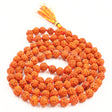 Arkam Rudraksha Mala/ Natural Rudraksh Mala/ Original Rudraksha mala/ Small Rudraksham Mala/ 6mm Rudraksha Rosary (Size: 6mm, Beads: 108+1) - Retail Maharaj