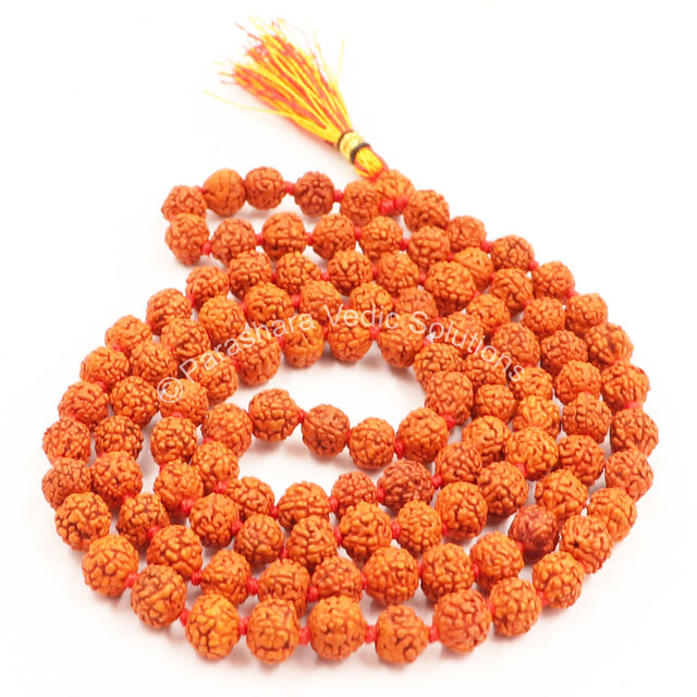 Arkam Rudraksha Mala/ Natural Rudraksh Mala/ Original Rudraksha mala/ Small Rudraksham Mala/ 6mm Rudraksha Rosary (Size: 6mm, Beads: 108+1) - Retail Maharaj