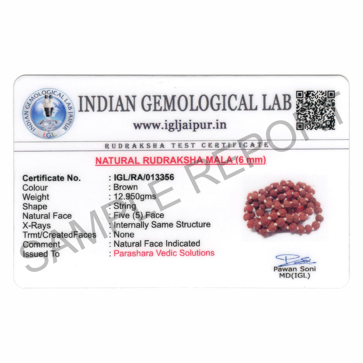 Arkam Rudraksha Mala/ Natural Rudraksh Mala/ Original Rudraksha mala/ Small Rudraksham Mala/ 6mm Rudraksha Rosary (Size: 6mm, Beads: 108+1) - Retail Maharaj
