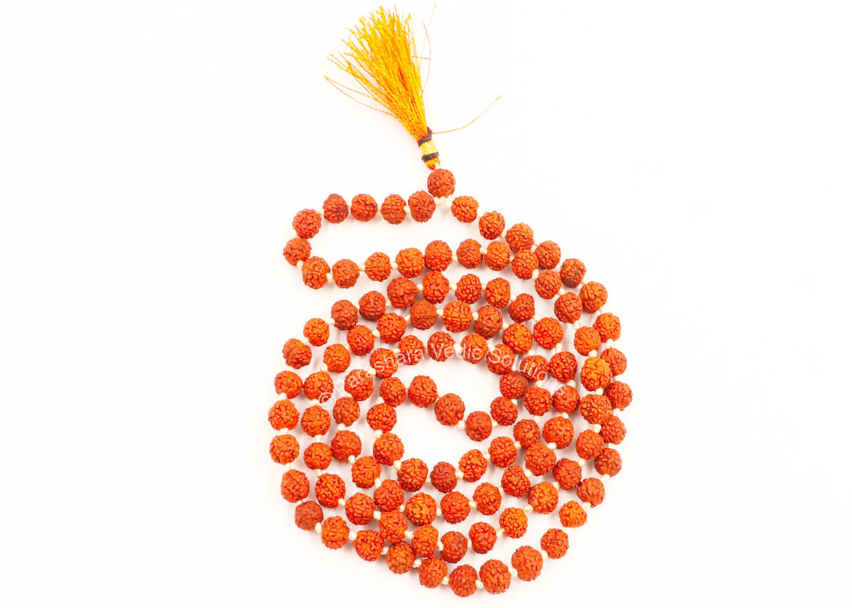 Arkam Rudraksha Mala/ Natural Rudraksh Mala/ Original Rudraksha mala/ Small Rudraksham Mala/ 6mm Rudraksha Rosary (Size: 6mm, Beads: 108+1) - Retail Maharaj