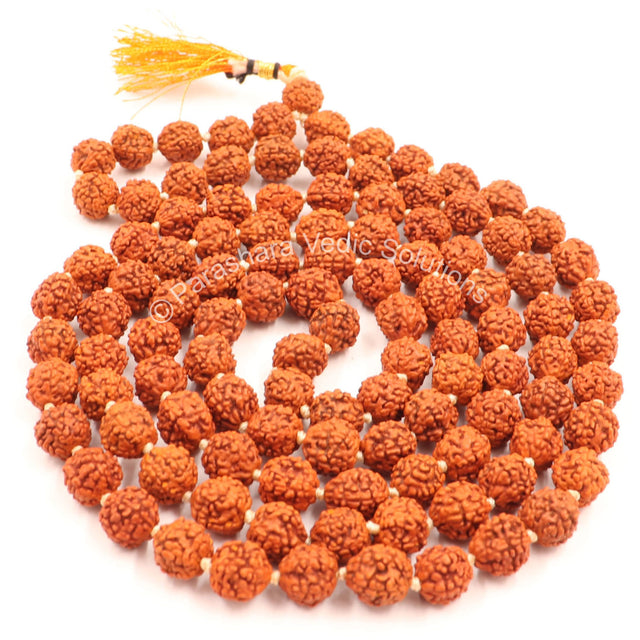Arkam Rudraksha Mala/ Natural Rudraksh Mala/ Original Rudraksha mala/ Rudraksha Mala for jaap/ 8mm Rudraksha Rosary (Size: 8mm, Beads: 108+1) - Retail Maharaj