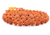 Arkam Rudraksha Mala/ Natural Rudraksh Mala/ Original Rudraksha mala/ Rudraksha Mala for jaap/ 8mm Rudraksha Rosary (Size: 8mm, Beads: 108+1) - Retail Maharaj