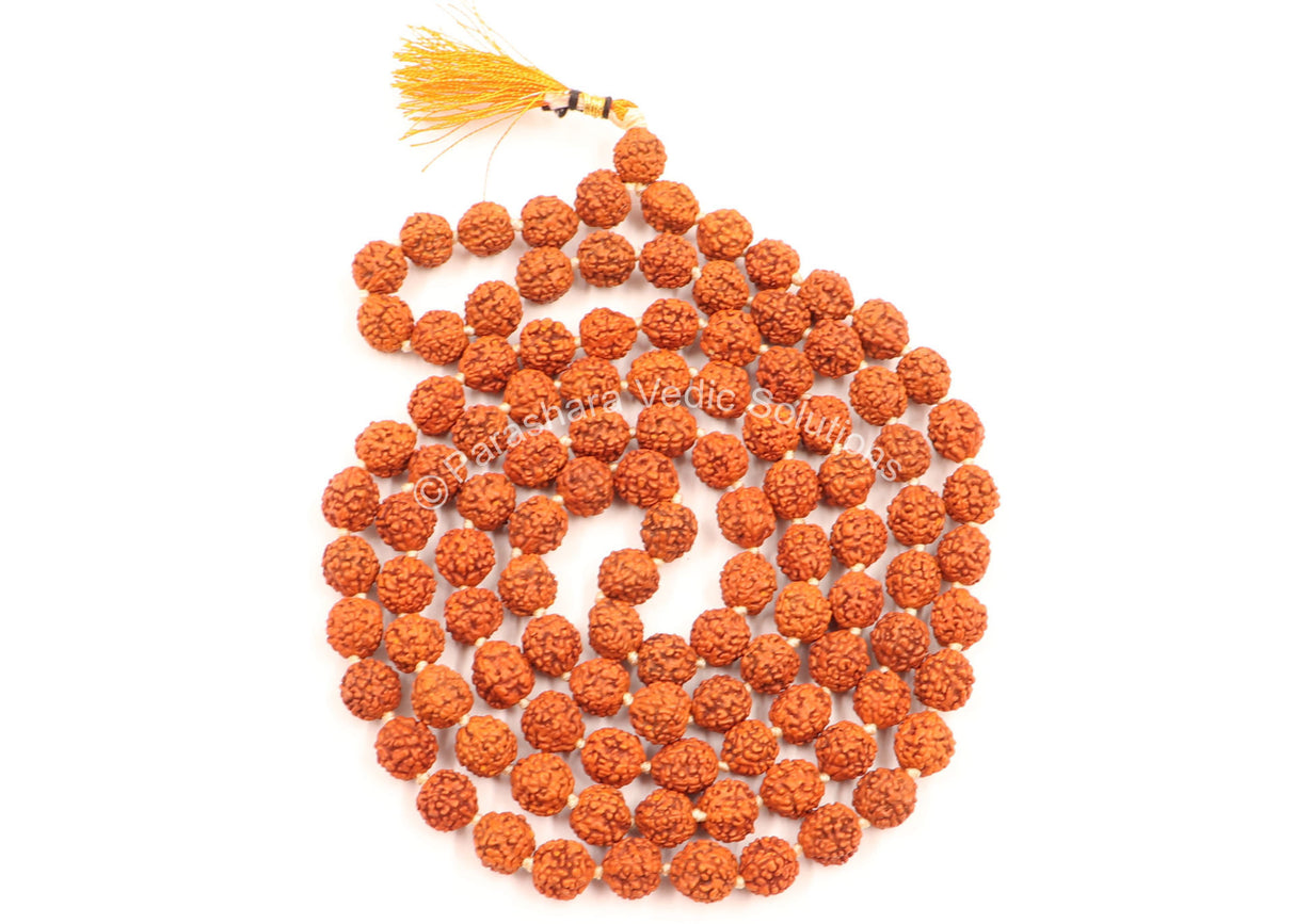Arkam Rudraksha Mala/ Natural Rudraksh Mala/ Original Rudraksha mala/ Rudraksha Mala for jaap/ 8mm Rudraksha Rosary (Size: 8mm, Beads: 108+1) - Retail Maharaj