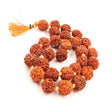Arkam Rudraksha Mala Sumarni/Natural Rudraksh Mala/Original Rudraksha mala/Rudraksha Mala for jaap/ 12mm Rudraksha Rosary (Size: 12mm, Beads: 27+1) - Retail Maharaj
