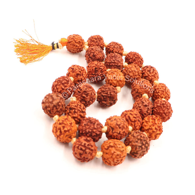 Arkam Rudraksha Mala Sumarni/Natural Rudraksh Mala/Original Rudraksha mala/Rudraksha Mala for jaap/ 12mm Rudraksha Rosary (Size: 12mm, Beads: 27+1) - Retail Maharaj