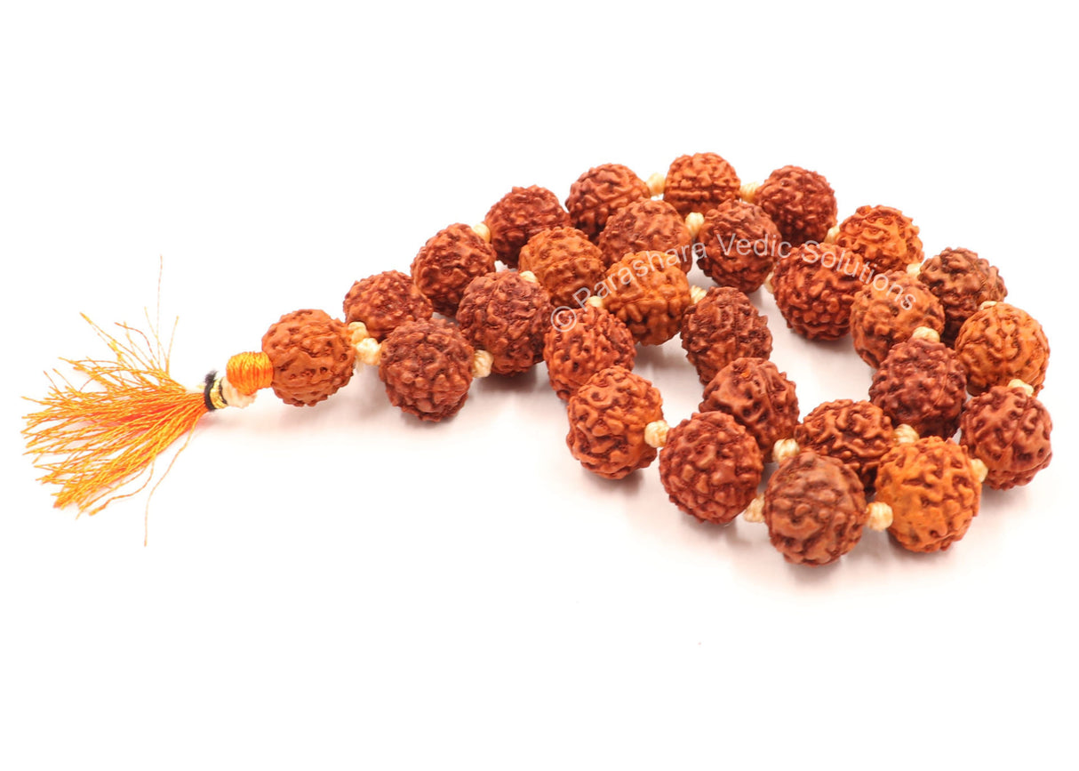 Arkam Rudraksha Mala Sumarni/Natural Rudraksh Mala/Original Rudraksha mala/Rudraksha Mala for jaap/ 12mm Rudraksha Rosary (Size: 12mm, Beads: 27+1) - Retail Maharaj