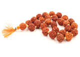 Arkam Rudraksha Mala Sumarni/Natural Rudraksh Mala/Original Rudraksha mala/Rudraksha Mala for jaap/ 12mm Rudraksha Rosary (Size: 12mm, Beads: 27+1) - Retail Maharaj
